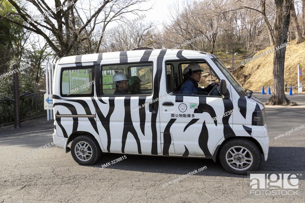 Stock Photo: February 22, 2019, Tokyo, Japan - Zookeepers take part during an Escaped Animal Drill at Tama Zoological Park. The annual escape drill is held to train.