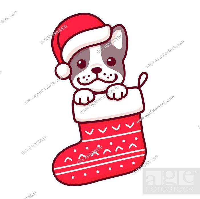 Cute cartoon French Bulldog puppy in Santa Claus hat inside hanging  Christmas stocking, Stock Vector, Vector And Low Budget Royalty Free Image.  Pic. ESY-056125639 | agefotostock