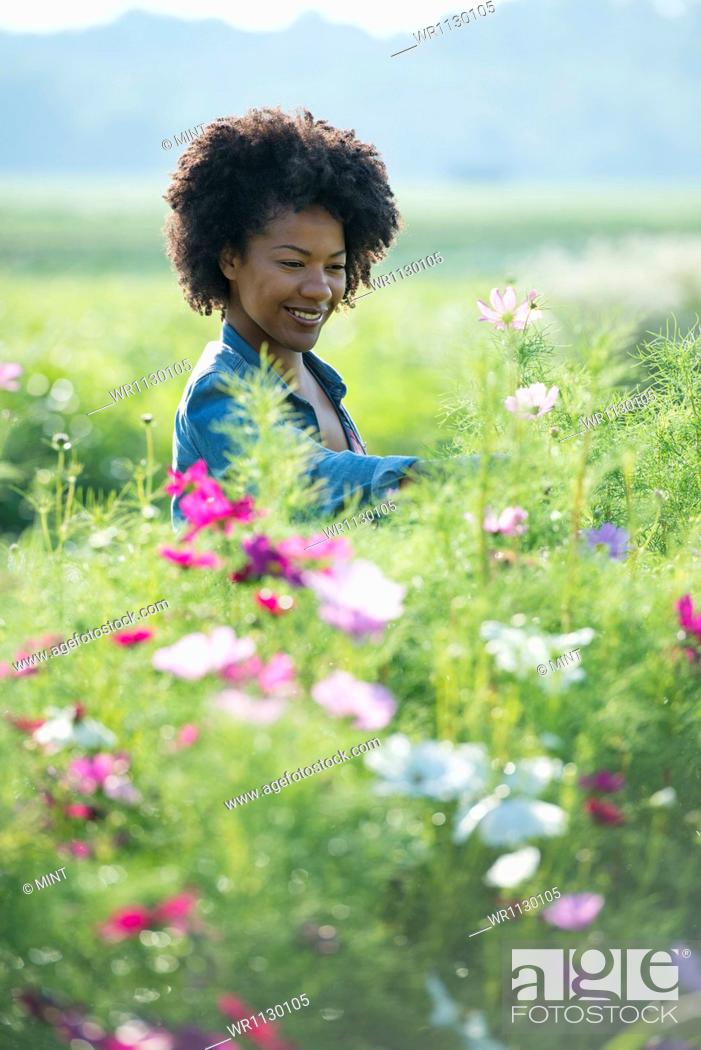 Stock Photo: A woman standing among the flowers growing in the fields.