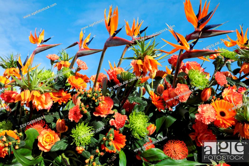Stock Photo: Floristic decoration with tropical flowers against a blue sky.