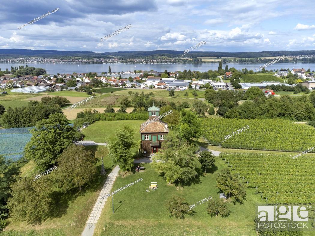 Imagen: View of the Hochwart, vantage point on the island of Reichenau in Lake Constance, Constance district, Baden-Württemberg, Germany, Europe.