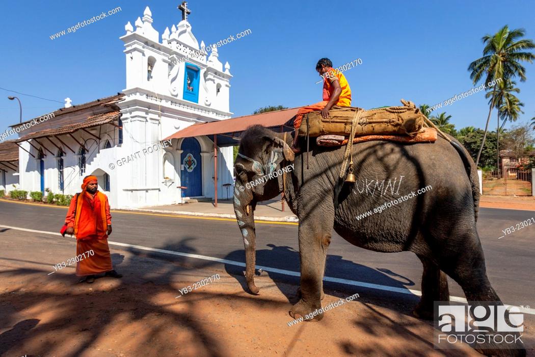 Stock Photo: Man Riding An Elephant, Calangute, Goa, India.