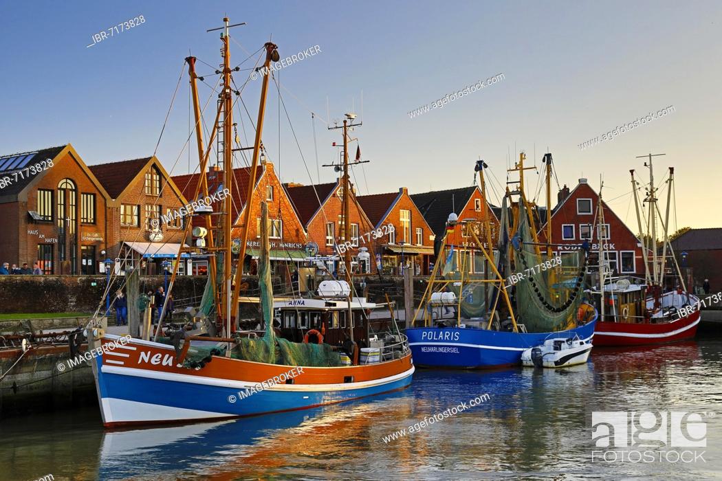 Stock Photo: Fishing harbour, Neuharlingersiel, East Frisia, Lower Saxony, Germany, Europe.