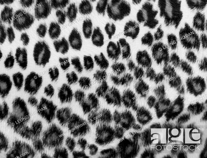 Imagen: Monochrome leopard Print.