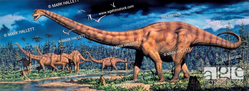Stock Photo: Diplodocus sauropod dinosaur herd. Diplodocus was a giant herbivorous dinosaur that could reach a length of up to 30 metres.