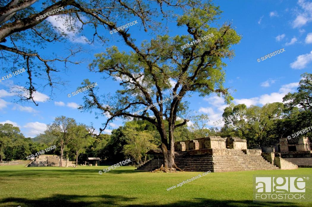 Stock Photo: Honduras, Copan Ruins, Mayan Archaelogical Site, Great Plaza, Ball Court.