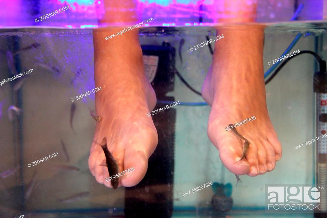 Stock Photo: Young woman receiving massage with small fishes. Peeling with fish. Girl enjoying medicinal procedure. Foot massage with fish in aquarium closeup.