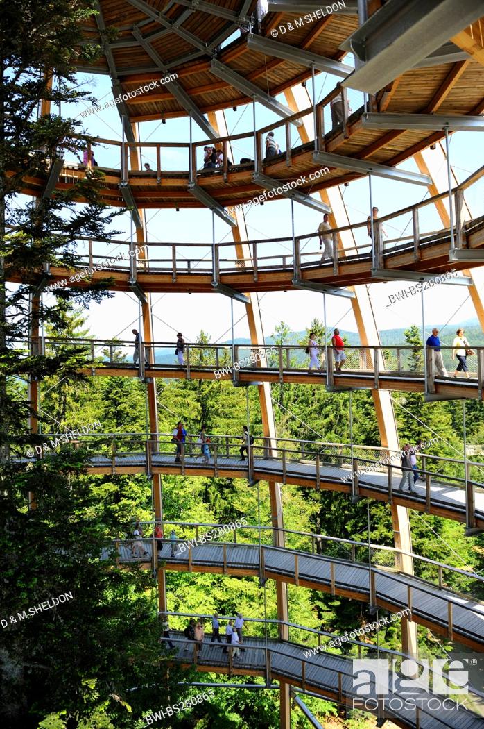Stock Photo: a lot of visitors on the spiral way of the viewing tower of the tree top walk in National Park Bavarian Forest, Germany, Bavaria, Bavarian Forest National Park.