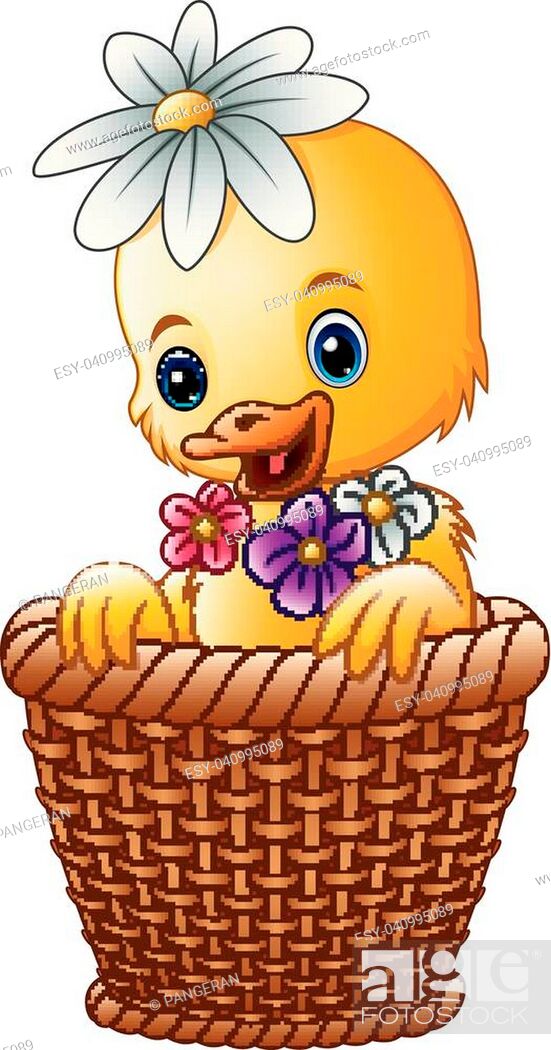 Vector illustration of Cute baby duck inside a wicker basket with colorful  flowers, Stock Vector, Vector And Low Budget Royalty Free Image. Pic.  ESY-040995089 | agefotostock