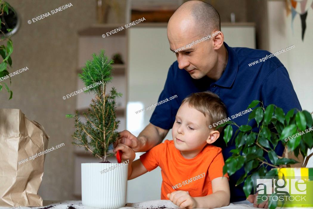 Stock Photo: Man with son planting at home.