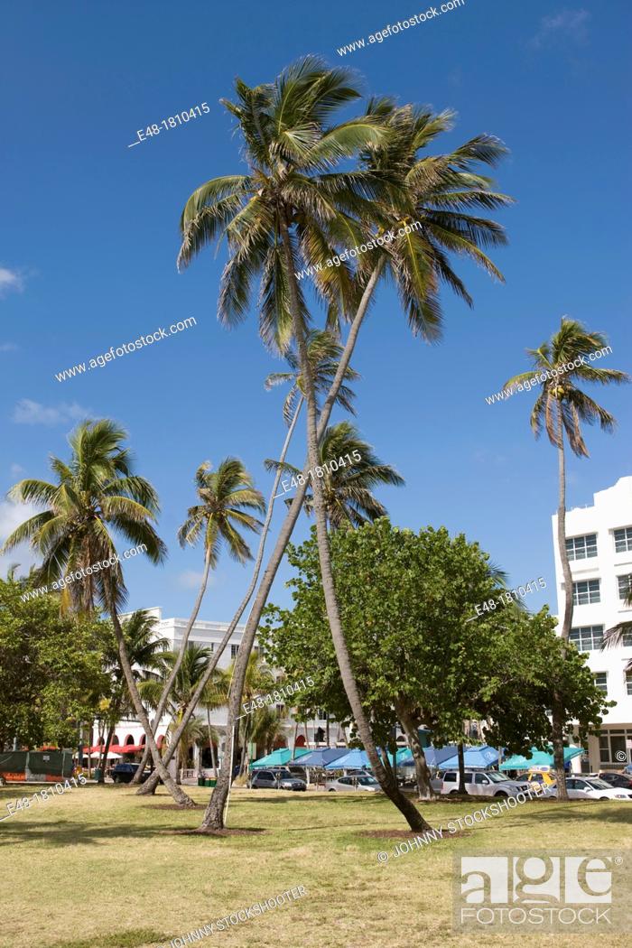 Photo de stock: CROSSED PALM TREES LUMMUS PARK OCEAN DRIVE SOUTH BEACH MIAMI BEACH FLORIDA USA.