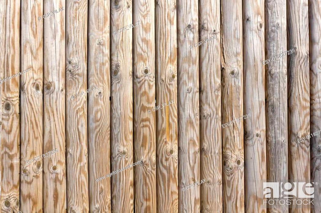 Stock Photo: Smooth wood pine poles.