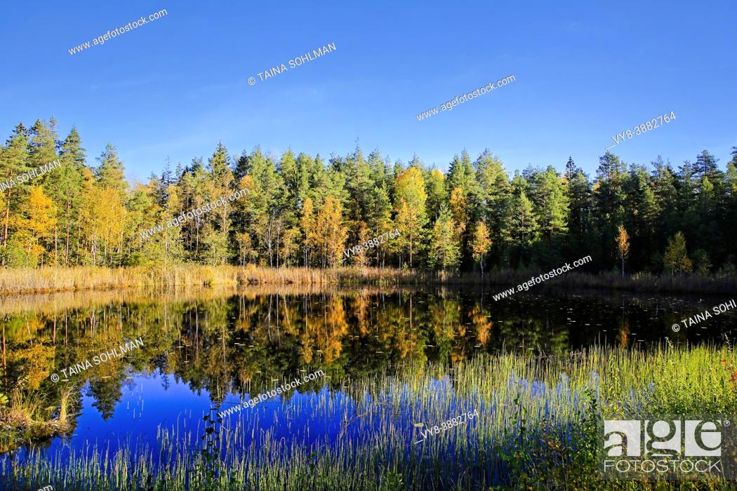 Stock Photo: Small marshland lake Kolmperä in Salo, South of Finland, in vibrant autumnal colours on a beautiful day of late September 2021.