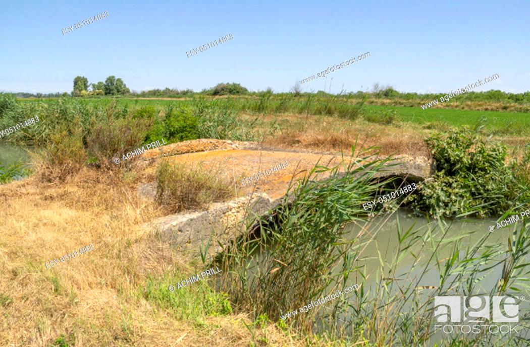 Stock Photo: sunny waterside scenery including a small bridge in a natural region named Camargue in southern France.