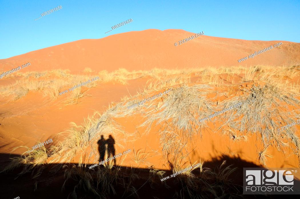 Imagen: zwei in der Namib Wüste, two in the Namib desert,.