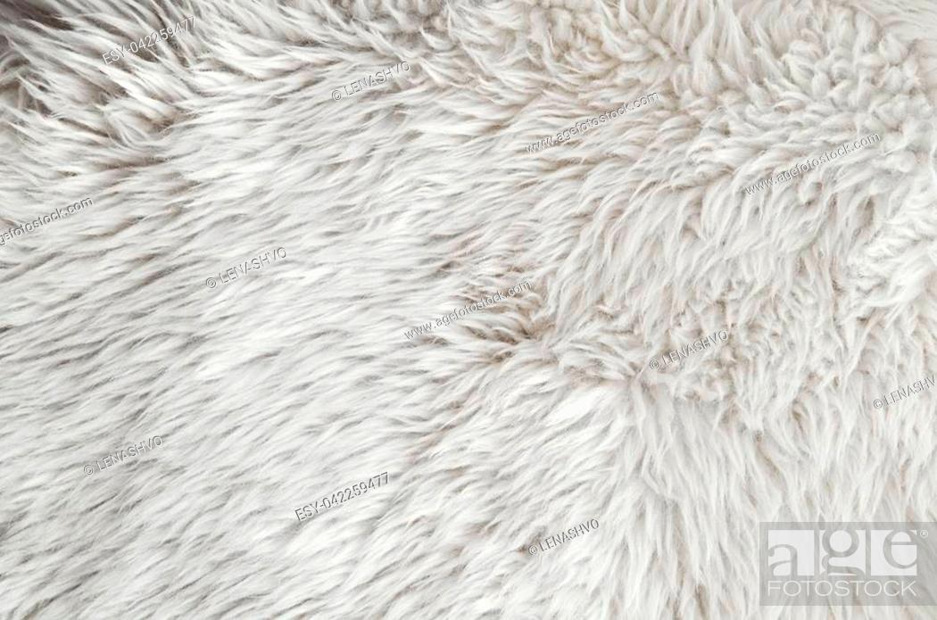 Sheepskin rug background. Wool texture. Close up sheep fur, Stock Photo,  Picture And Low Budget Royalty Free Image. Pic. ESY-042259477 | agefotostock