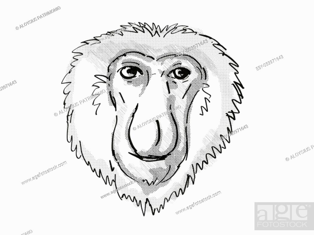 Retro cartoon style drawing of head of a Proboscis Monkey, Stock Photo,  Picture And Low Budget Royalty Free Image. Pic. ESY-053971643 | agefotostock