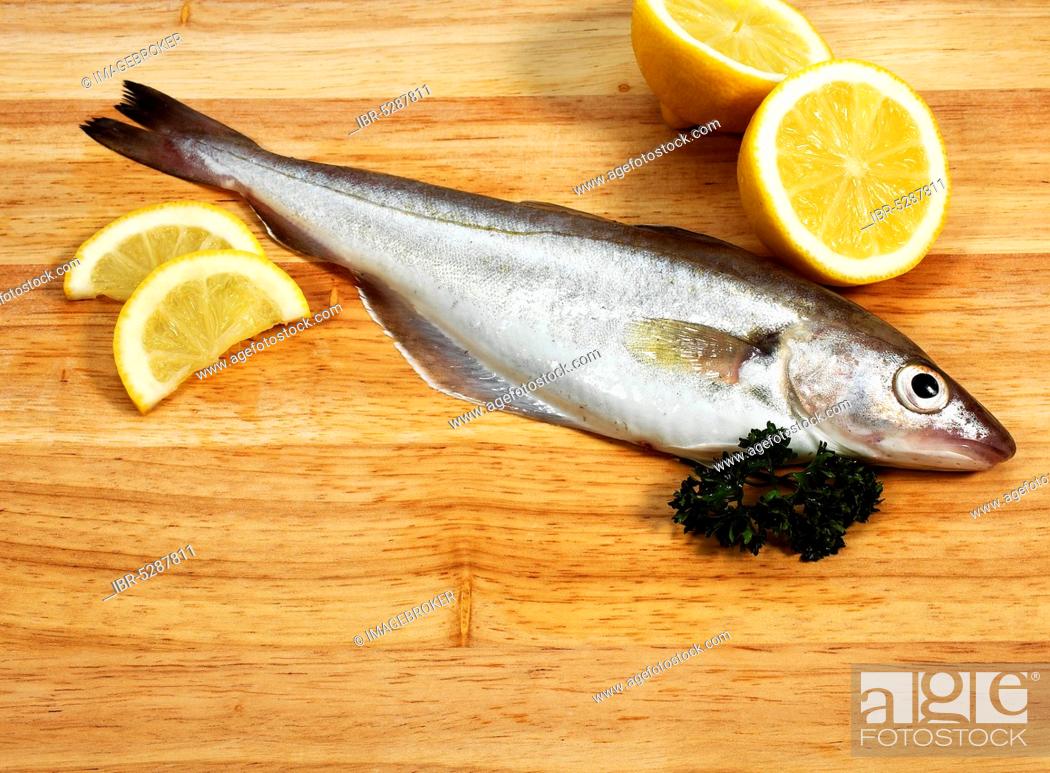 Stock Photo: Whiting, merlangius merlangus, Fresh fish with parsley and lemon.