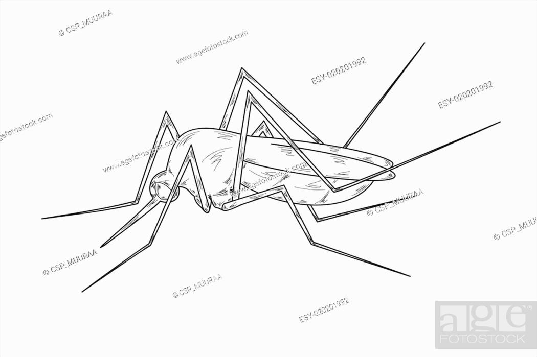 Aggregate 143+ sketch mosquito