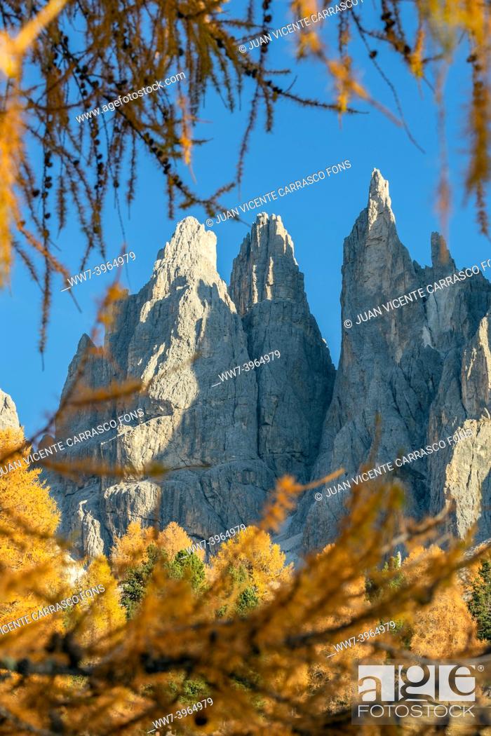 Stock Photo: Vajolet tower at Sciliar Catinaccio natural park, South Tyrol, Dolomites, italian alps.