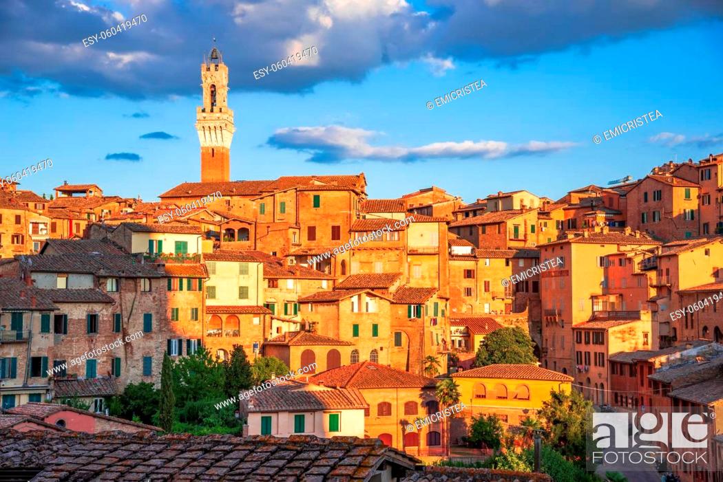 Stock Photo: Siena, Italy. Summer scenery of Siena, a beautiful medieval town in Tuscany, sunset over Torre del Mangia.