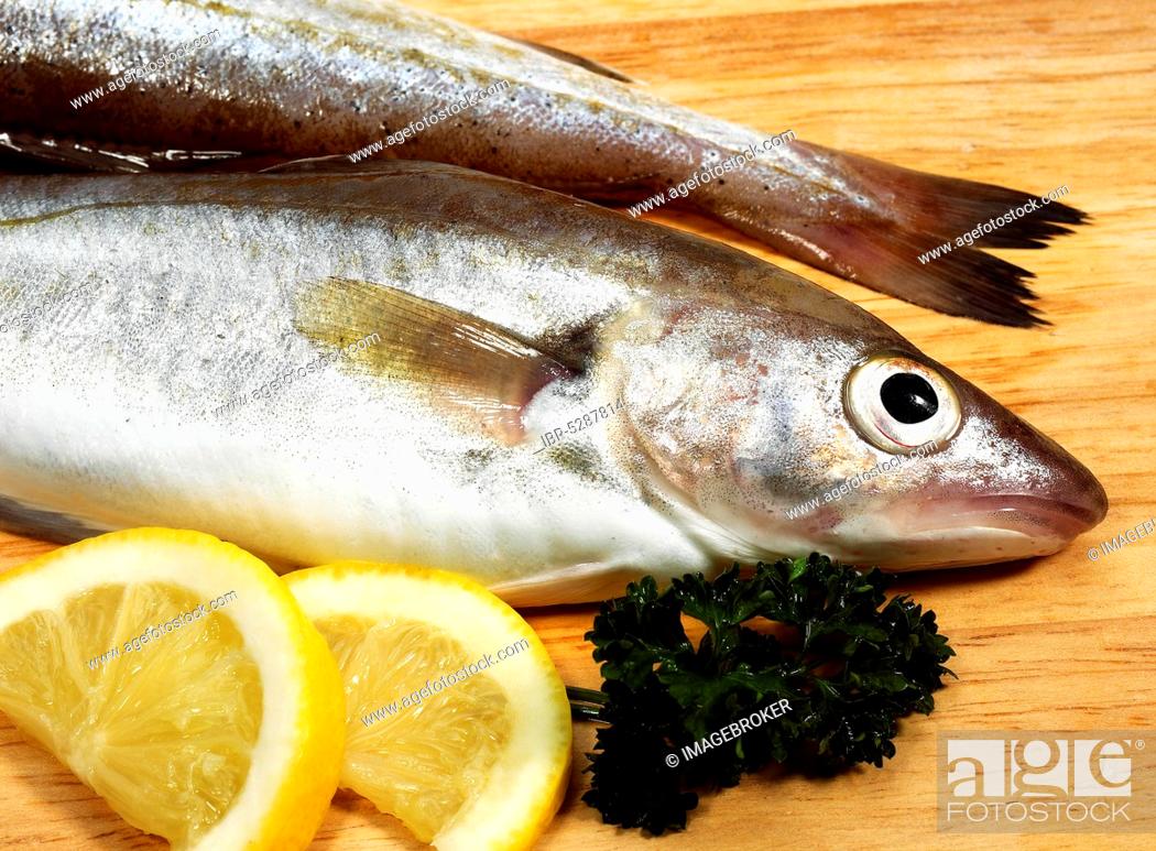 Stock Photo: Fresh whiting, merlangius merlangus, fish with lemon and parsley.