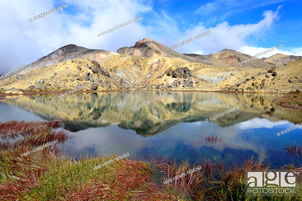 Stock Photo: New Zealand, North Island, Tongariro National Park is the first national park in New Zealand and the fourth to emerge globally (UNESCO World Heritage) ; the.