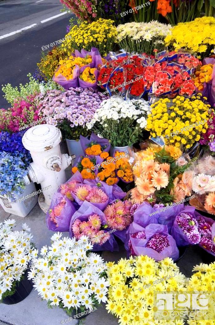 Stock Photo: flowers.