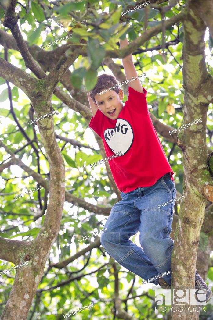 Stock Photo: Hispanic boy playing in tree.