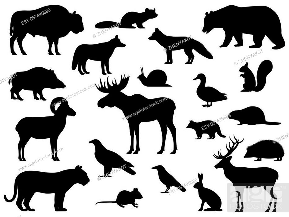 Set of black silhouette wild forest steppe animals. Vector illustration  isolated on white, Stock Vector, Vector And Low Budget Royalty Free Image.  Pic. ESY-057495688 | agefotostock