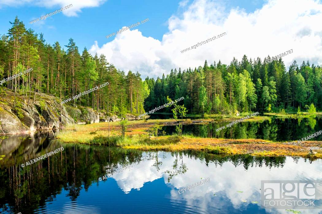 Stock Photo: White summer clouds reflecting on the forest pond in Nuuksio National Park in Southern Finland.