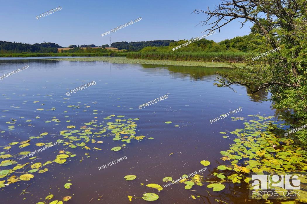 Stock Photo: District Starnberg, Germany July 22nd, 2020: Impressions Starnberger See - 2020 Maisiner See, near Maising, district Starnberg.