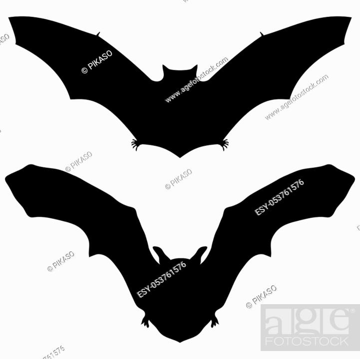 Stock Vector: Bat silhouette on white background for Halloween vector illustration.