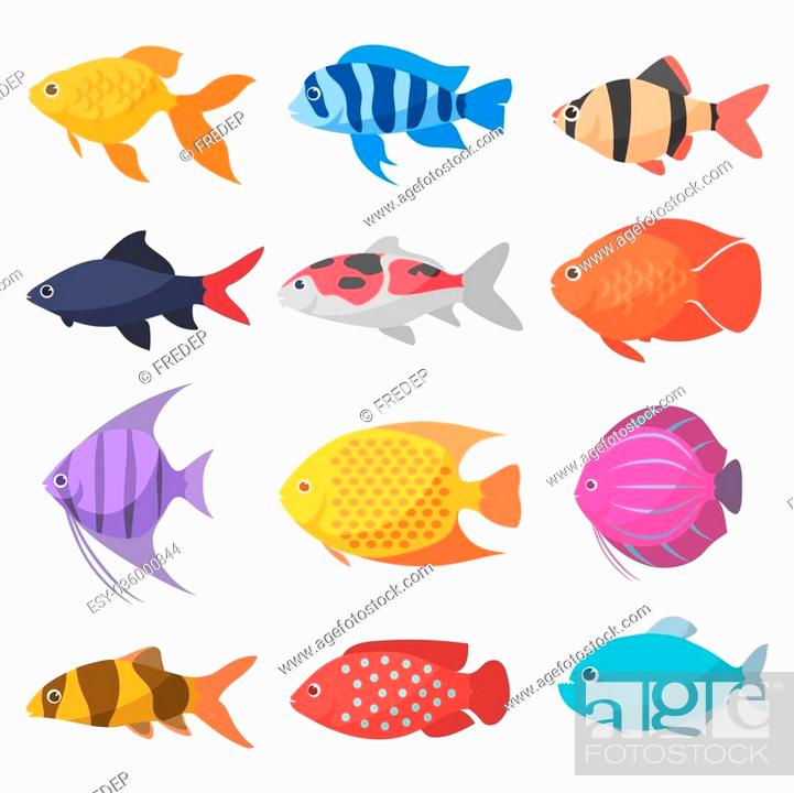 Isolated river fish. Set of freshwater aquarium cartoon fishes, Stock  Vector, Vector And Low Budget Royalty Free Image. Pic. ESY-036000844 |  agefotostock