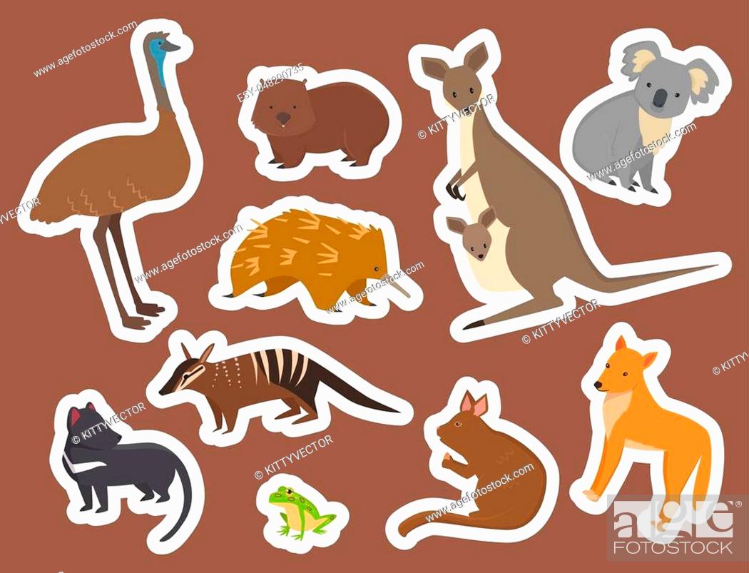 Australia wild animals cartoon popular nature characters flat style and  australian mammal aussie..., Stock Vector, Vector And Low Budget Royalty  Free Image. Pic. ESY-048290735 | agefotostock