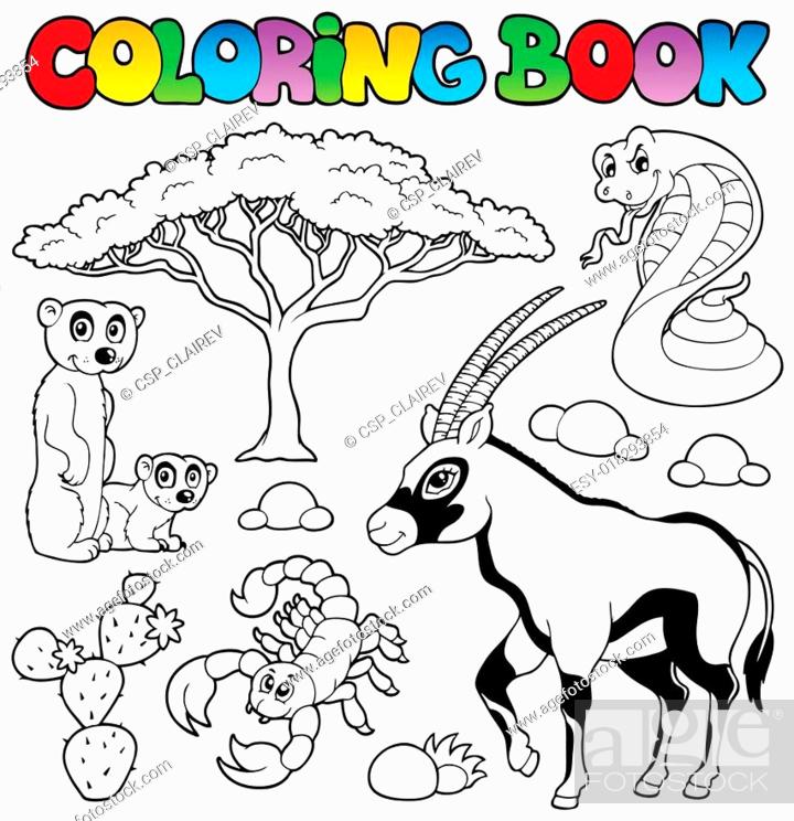 Coloring book savannah animals 1, Stock Vector, Vector And Low Budget  Royalty Free Image. Pic. ESY-018293854 | agefotostock