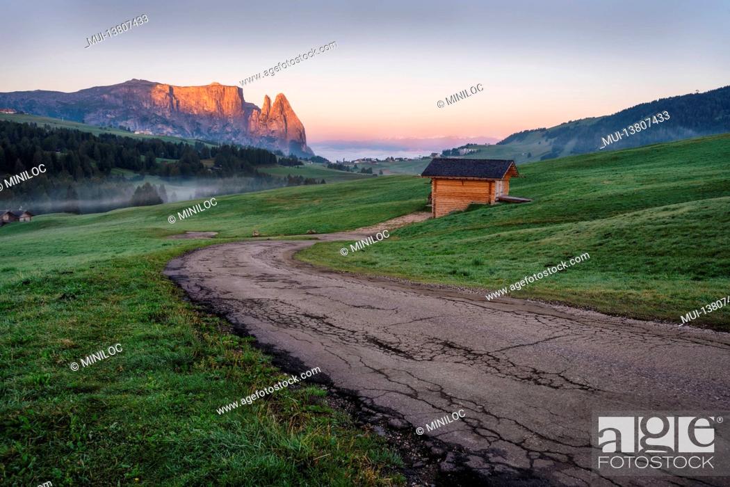 Imagen: Alpe di Siusi or Seiser Alm, mountain path and Sciliar or Schlern mountain in sunrise light. Dolomites Alps, Trentino Alto Adige South Tyrol, Italy, Europe.