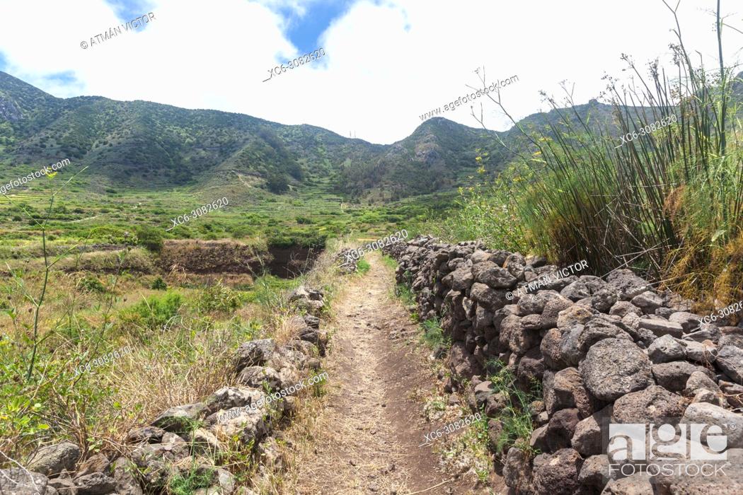 Imagen: Path to Teno Alto in El Palmar municipality (Tenerife island).