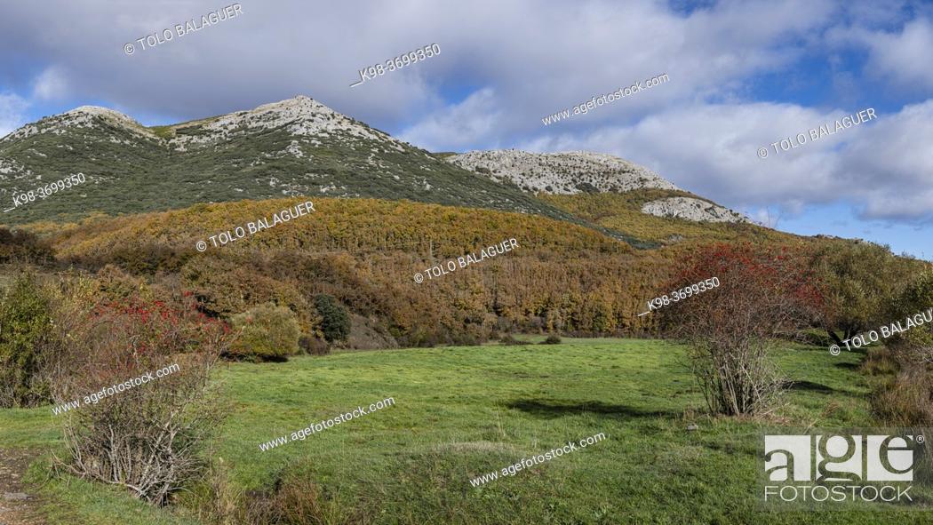 Stock Photo: Sierra de la Peña, Tejeda de Tosande. Fuentes Carrionas Natural Park, Fuente Cobre- Palentina Mountain. Palencia, Spain.