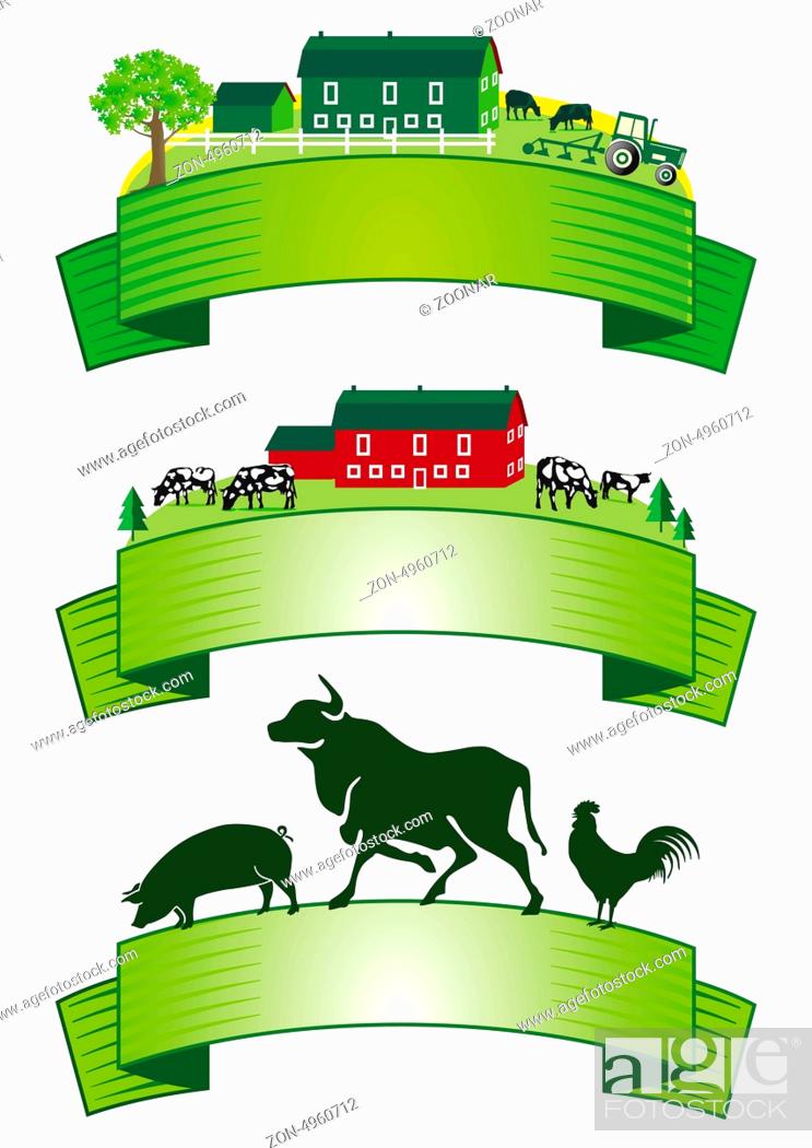 Stock Photo: cattle breeding Agriculture.