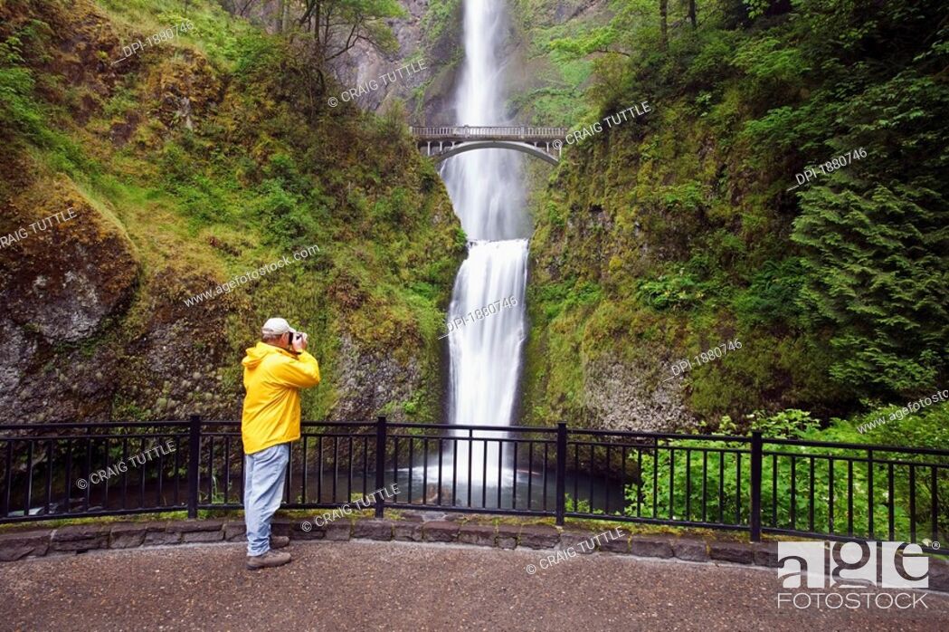 Photo de stock: a hiker taking pictures of multnomah falls in columbia river gorge national scenic area, oregon, united states of america.