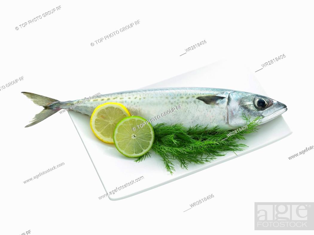 Stock Photo: Fresh Meat & Seafood.