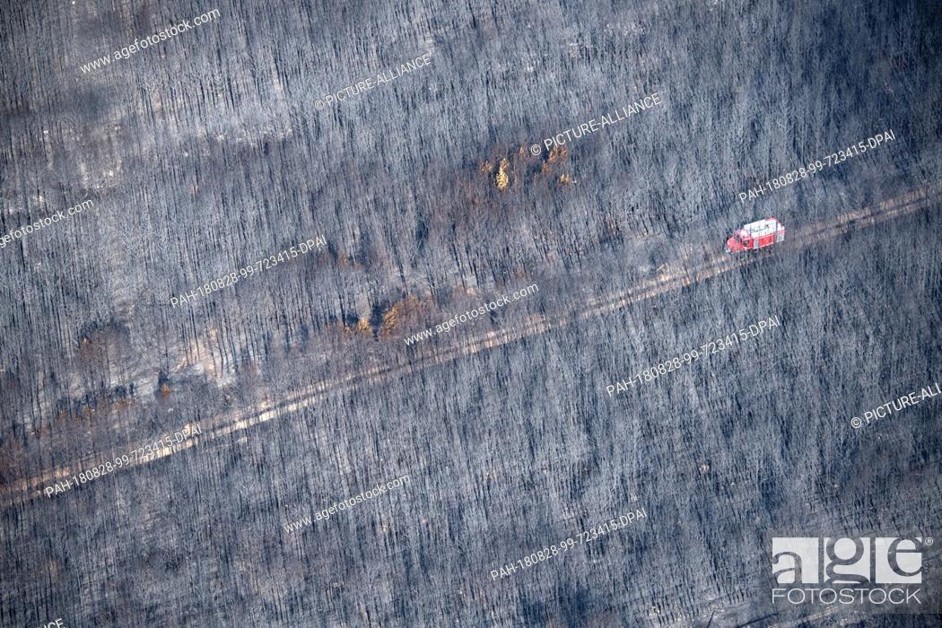 Stock Photo: 28.08.2018, Brandenburg, Treuenbrietzen: A fire engine of the fire brigade patrols a burnt pine forest. After the devastating forest fires in Brandenburg.