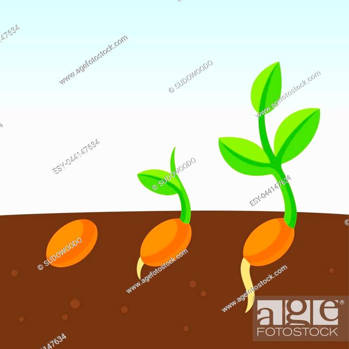 Little growing plant cartoon illustration. Seed sprouting from the ground,  Stock Vector, Vector And Low Budget Royalty Free Image. Pic. ESY-044147634  | agefotostock