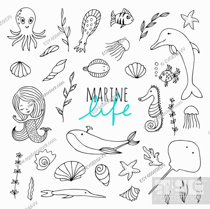 Vector set of marine life. Fish, mermaid, sea animals hand drawn in Doodle  style, Stock Vector, Vector And Low Budget Royalty Free Image. Pic.  ESY-050459579 | agefotostock