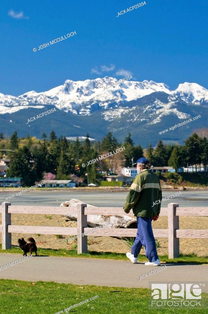 Stock Photo: Snow-capped Mount Arrowsmith looms over the beach at Parksville BC.