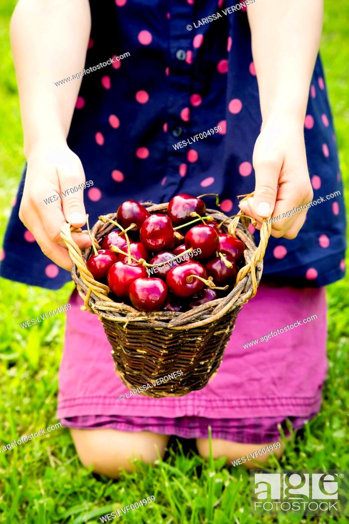 Stock Photo: Girl kneeling on a meadow holding punnet of sweet cherries, partial view.