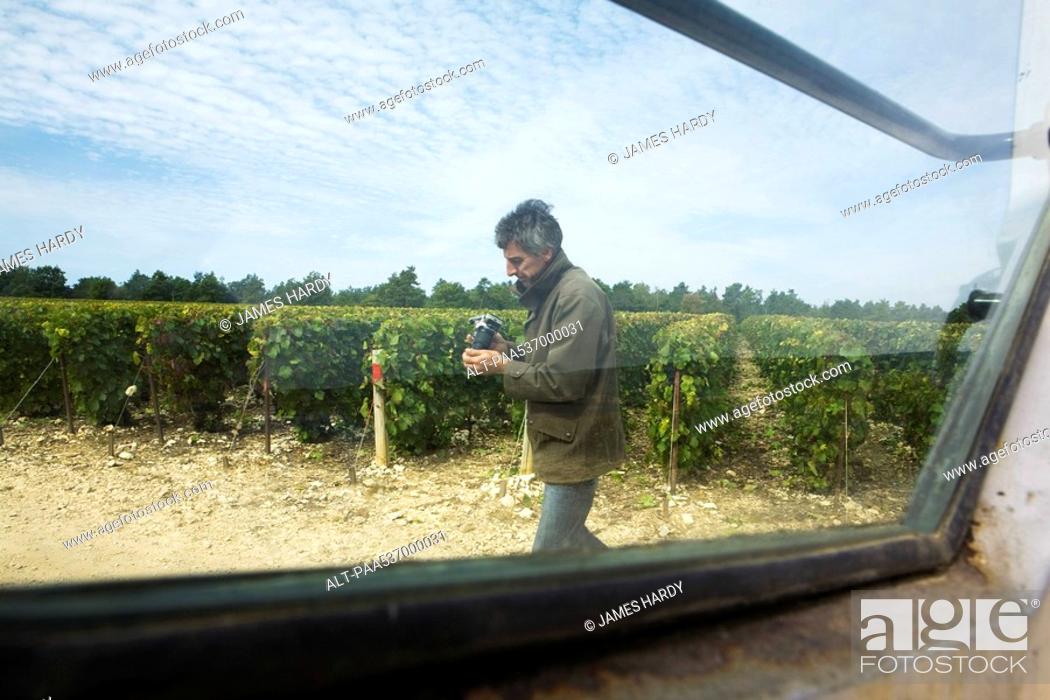 Stock Photo: France, Champagne-Ardenne, Aube, man walking in vineyard, holding camera, viewed through window.
