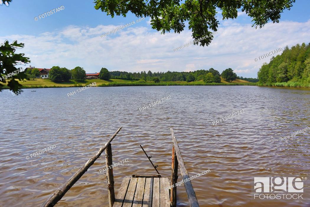 Stock Photo: Bernried, Germany July 21, 2020: Impressions summer - 2020 Nussberger Weiher, pond group from several ponds and fish farming in the district of Weilheim.