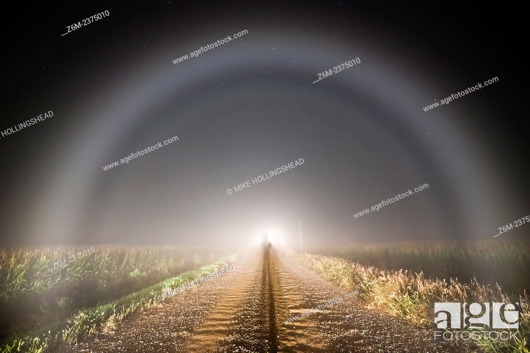 Stock Photo: Defined fogbow shines ahead of a car in some crop fog over a field in western Iowa. The only way to see such fogbows is to walk out 50-100 feet into your.